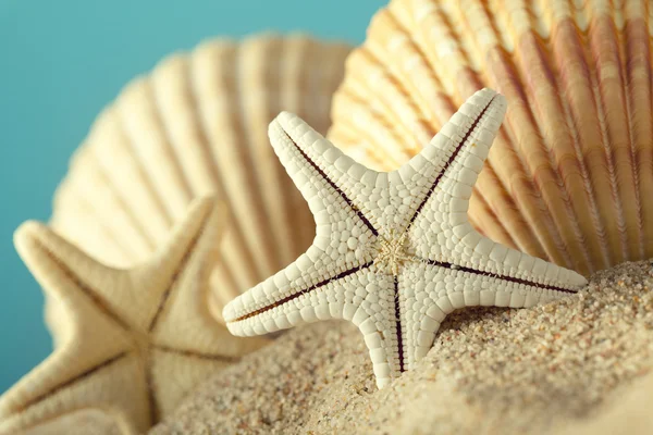 Starfish and seashells on sand — Stock Photo, Image