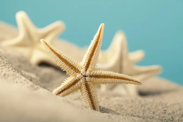Starfishes, a homokos strand — Stock Fotó