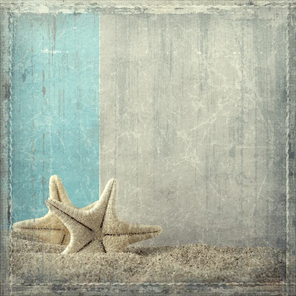 Sahilde denizyıldızı — Stok fotoğraf
