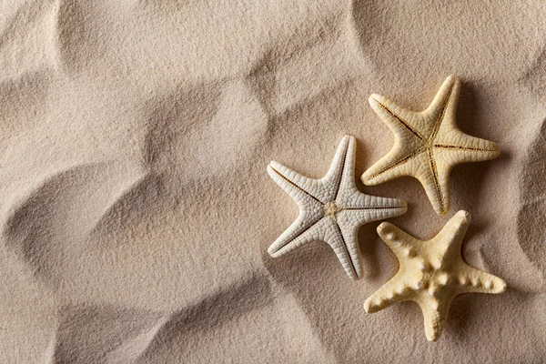 Starfish on sand — Stock Photo, Image