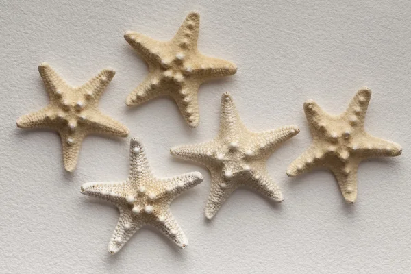 Estrella de mar sobre fondo de papel hecho a mano —  Fotos de Stock