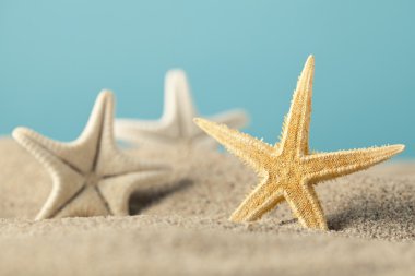 Yaz arka plan - plaj starfishes