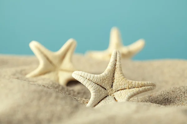 Starfishes in sand beach — Stock Photo, Image
