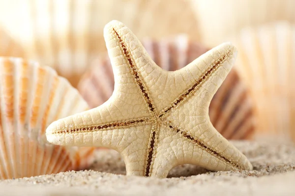 Starfish e conchas na areia — Fotografia de Stock