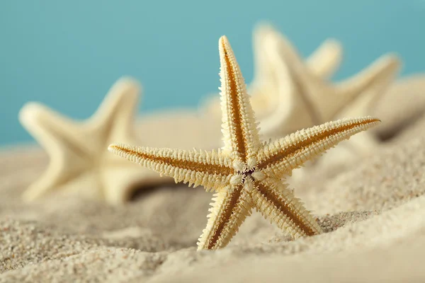 Seesterne im Sandstrand — Stockfoto