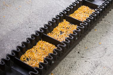 Corn production clipart