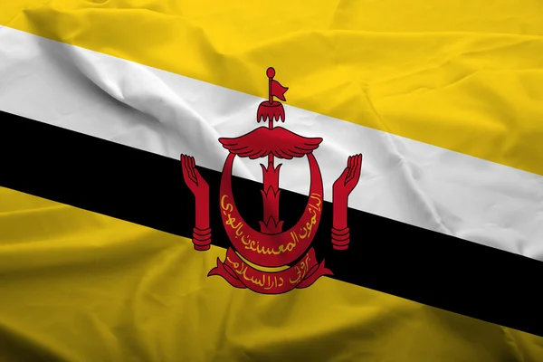 Brunei Drapeau Darussalam — Photo