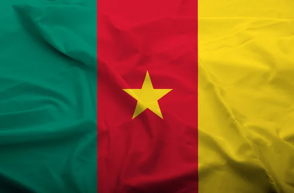 Прапор Камеруну — стокове фото