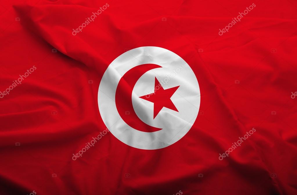 Details about  / Tunisia flag Keyring acrilic Souvenir 35x58mm