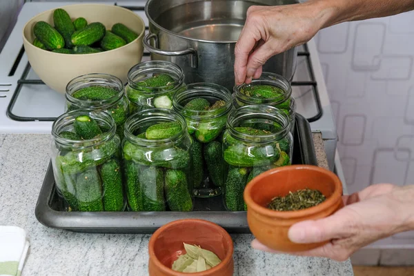 罐头黄瓜在家里 冬天用的泡菜罐头 有机自制黄瓜泡菜 免版税图库图片