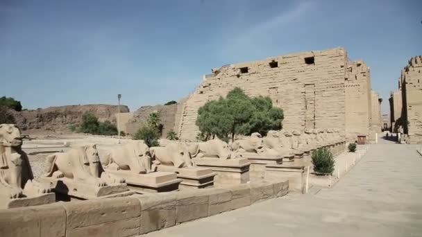 古埃及的卡尔纳克寺庙建筑群或卡尔纳克 — 图库视频影像