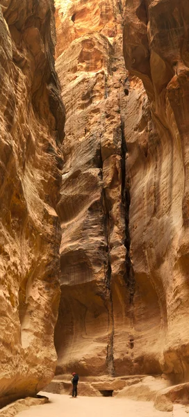 De weg naar de stad petra via de siq — Stockfoto