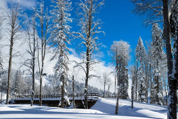 Sochi Krasnaya Polyana Russia January 2022 Bridge Road Winter Mountain — Stock Photo, Image