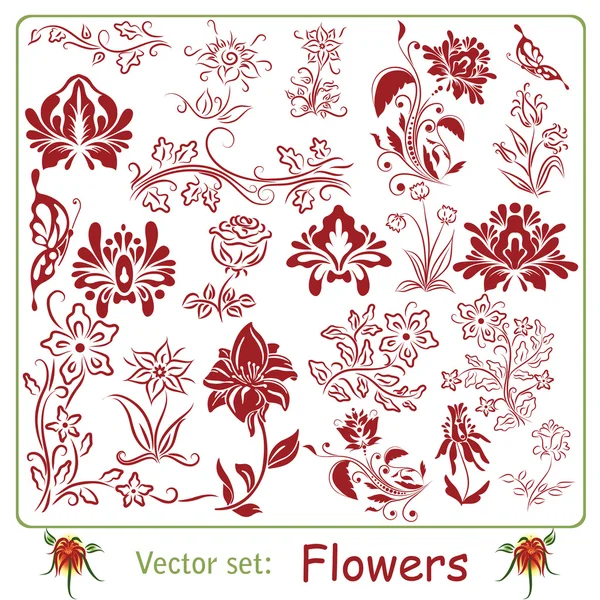 Conjunto de flores — Archivo Imágenes Vectoriales