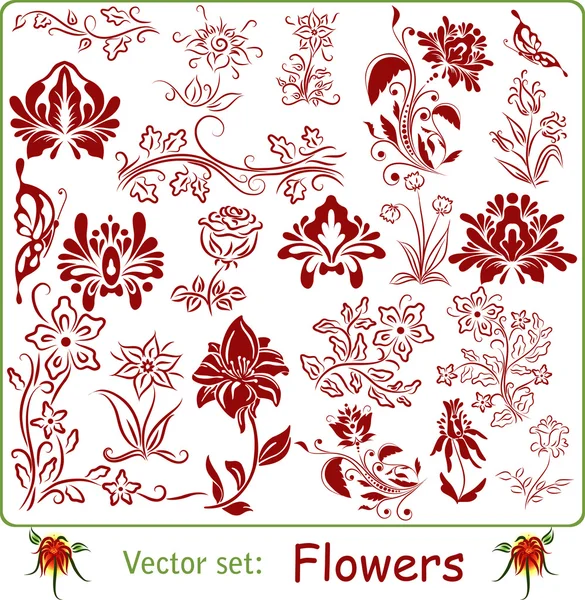 Conjunto de vectores: Flores — Archivo Imágenes Vectoriales