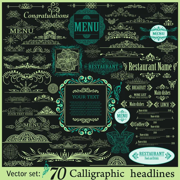 Vector set: kalligrafische vintage designelementen — Stockvector