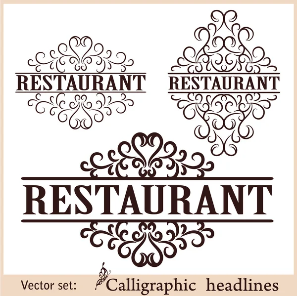 Calligraphic design elements for menu or its. — Stock Vector