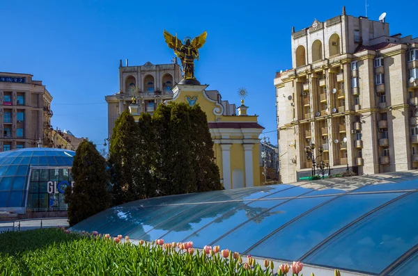 Kiev Ucrânia Abril 2022 Tulipas Florescem Praça Central Kiev Praça — Fotografia de Stock