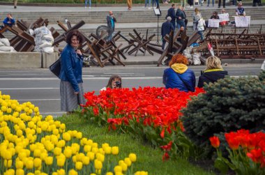 Kyiv, Ukrayna: 1 Mayıs 2022: Rusya 'nın 2022 baharındaki işgali sırasında Kyiv' in merkez meydanında laleler çiçek açtı