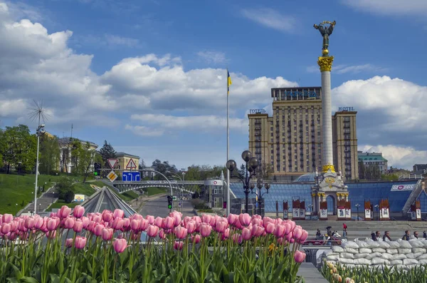우크라이나 키예프 2022 2022 러시아 기간에 광장에서 튤립이 피어나다 — 스톡 사진
