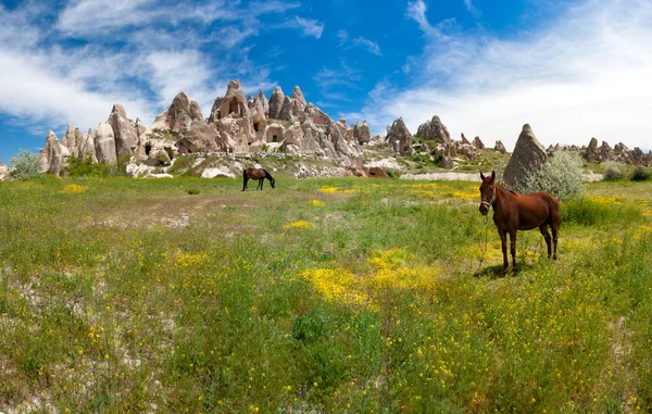 Cappadocië — Stockfoto