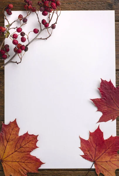 Herfstcompositie Frame Gemaakt Van Gedroogde Bladeren Witte Achtergrond Herfst Herfst — Stockfoto