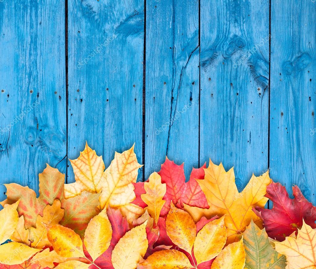 Autumn leaves over wooden background. Copy space. Stock Photo by ©REDPIXEL  13405064