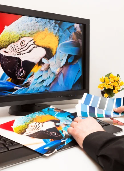 Designer at work. Color samples. — Stock Photo, Image