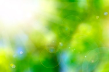 güzel doğa bokeh. doğa arka plan bulanıklık