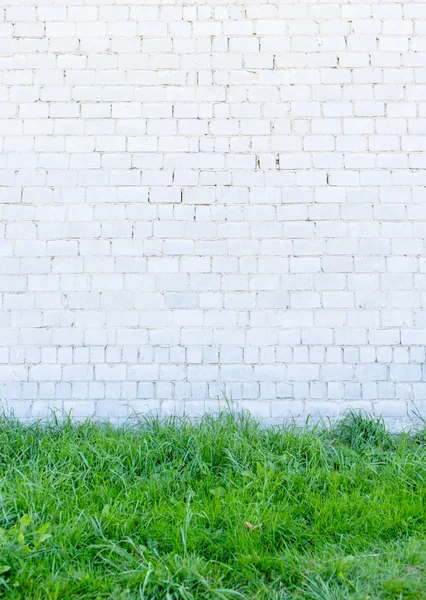Groen gras en witte muur — Stockfoto