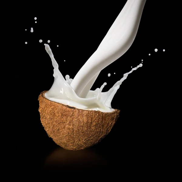 Kókuszdió tej csobbanás — Stock Fotó