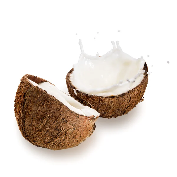 Noix de coco avec éclaboussures de lait — Photo