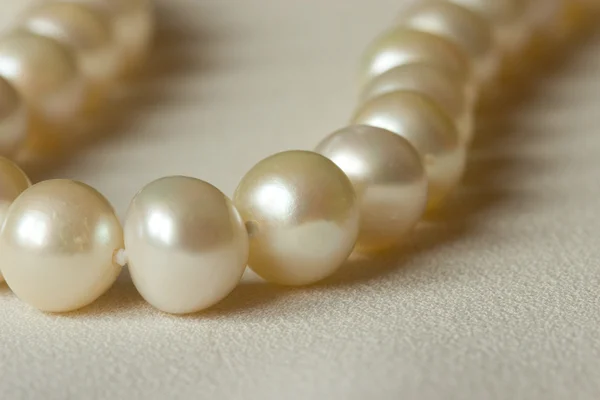 Perlas redondas blancas — Foto de Stock