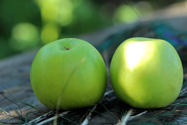 Two apples — Stock Photo, Image