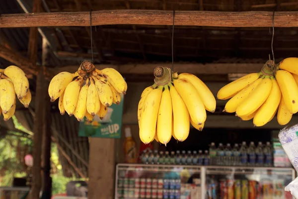 Маленькие желтые бананы — стоковое фото