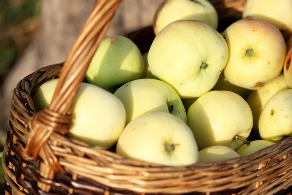 Apples in a basket Royalty Free Stock Images