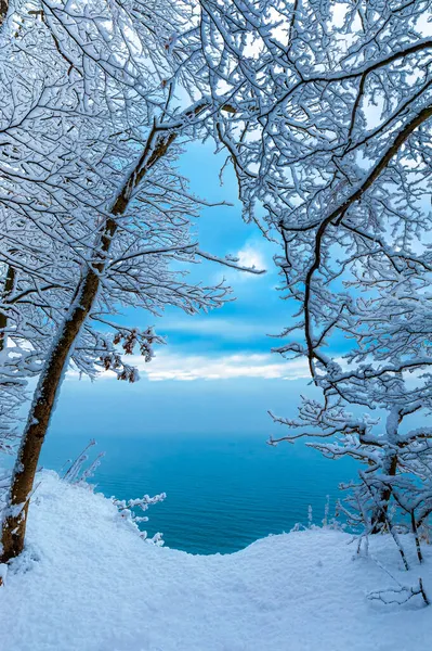 Inverno Nevoso Sulle Scogliere Della Baia Danzica — Foto Stock