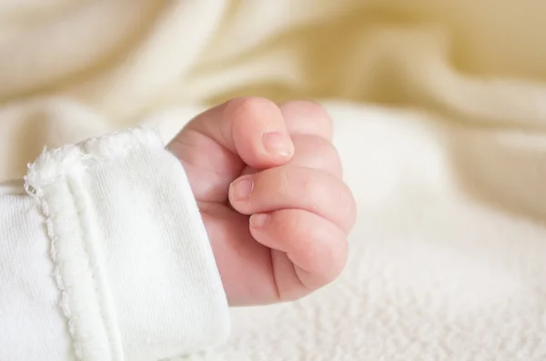 The Fist — Stock Photo, Image