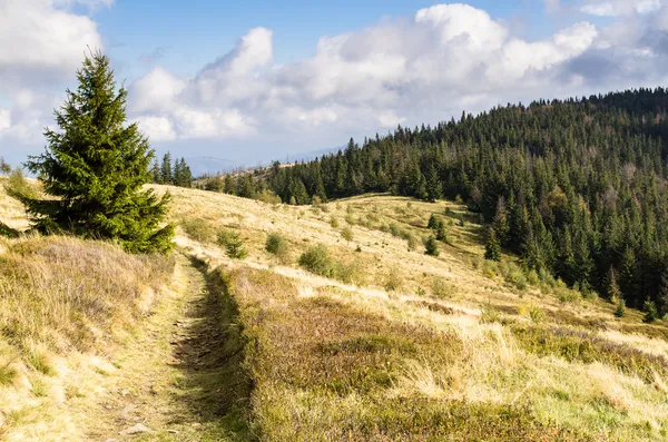 Berg track — Stockfoto