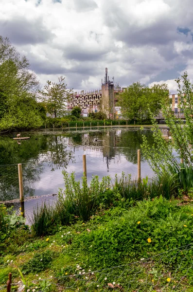 Estanque de waddon — Foto de Stock