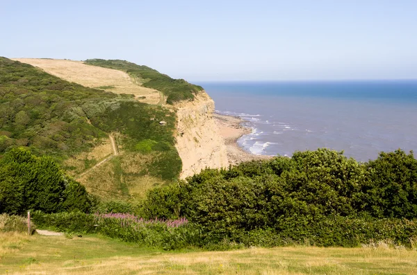 Hastings — Stock Photo, Image