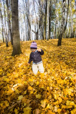 Sonbahar parkındaki çocuk.
