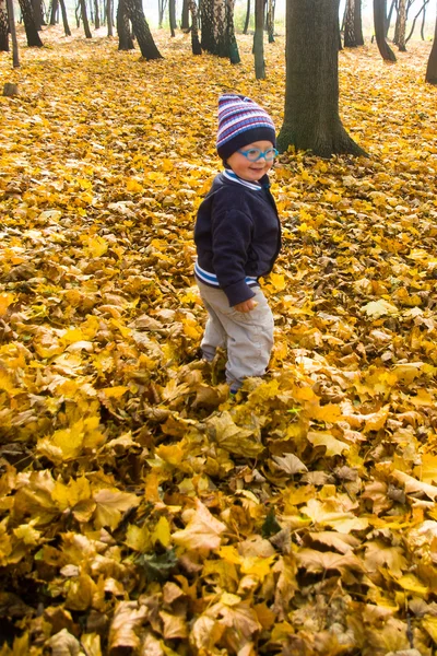 Sonbahar parkındaki çocuk. — Stok fotoğraf