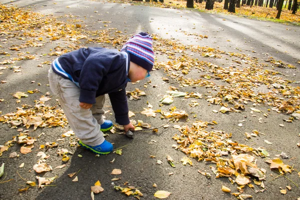 Niño en el parque de otoño — Foto de Stock