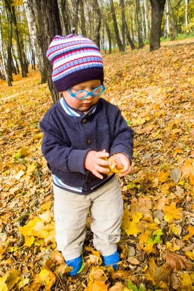 Niño en el parque de otoño — Foto de Stock