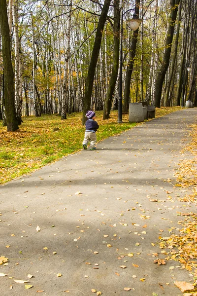 Sonbahar parkındaki çocuk. — Stok fotoğraf