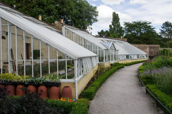 Greenhouse — Stock Photo, Image