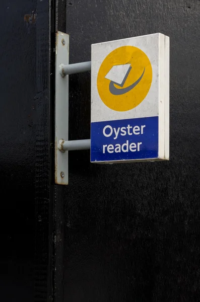 Oyster läsare — Stockfoto