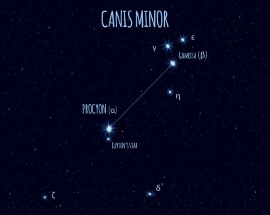 Canis Minor (The Lesser Dog) constellation, vector illustration with the names of basic stars against the starry sky clipart
