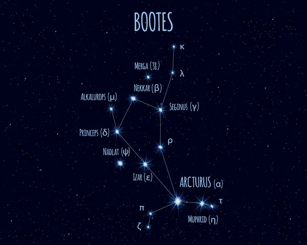 Bootes Herder Sterrenbeeld Vectorillustratie Met Namen Van Fundamentele Sterren Tegen — Stockvector